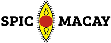 SPIC MACAY IIITDM